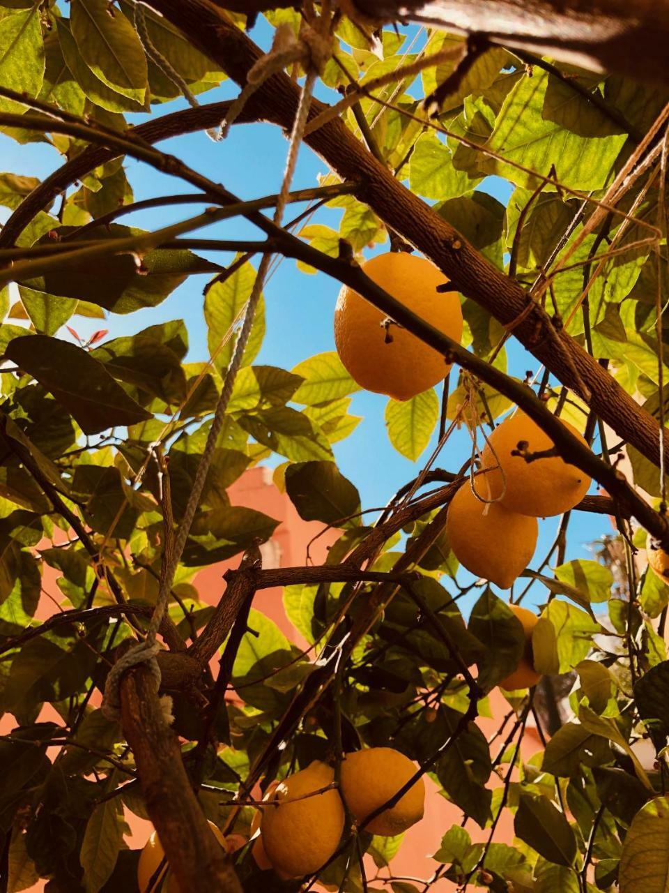 Vila A Casa Dei Sasso Positano Exteriér fotografie